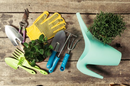 Healthy green lawn care in Old Coulsdon garden