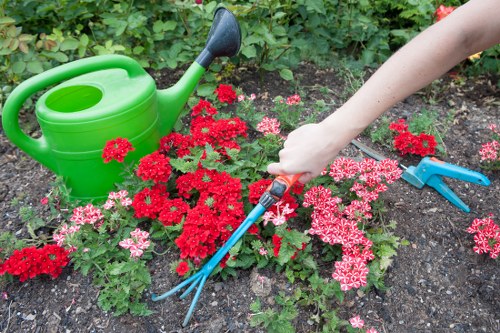 Professional gardening services in Old Coulsdon