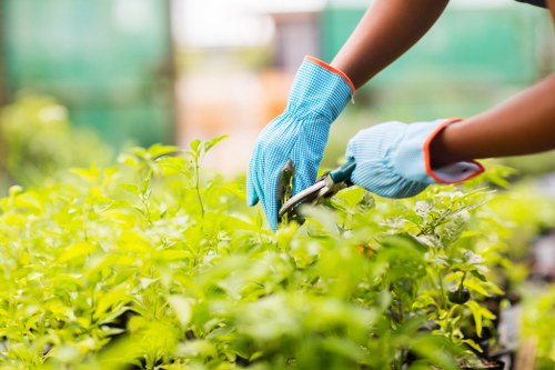Load-based waste removal estimate for a garden clearance