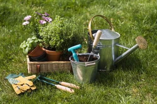 Professional garden maintenance in Old Coulsdon