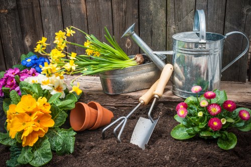 Professional lawn care service for Old Coulsdon gardens