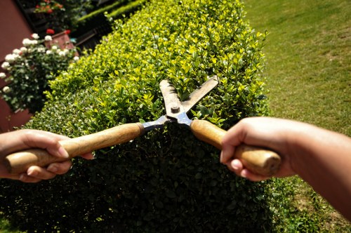 Professional patio cleaning process on a garden patio