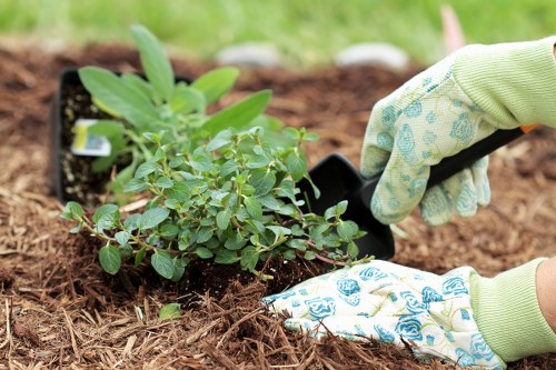 A gardening team following safe equipment practices