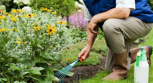 Separated green waste and recyclable materials from garden work