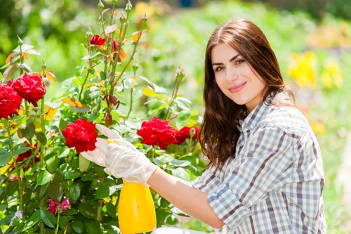 Healthy lawn and border care in Old Coulsdon
