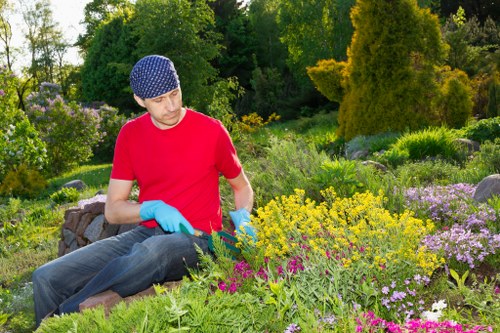 Image showing a review of gardening service notes and records