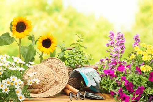 Hedge trimming and structural garden care in Old Coulsdon