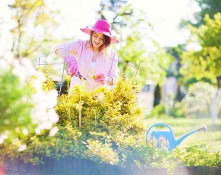 Example of hedge trimming and garden tidy pricing