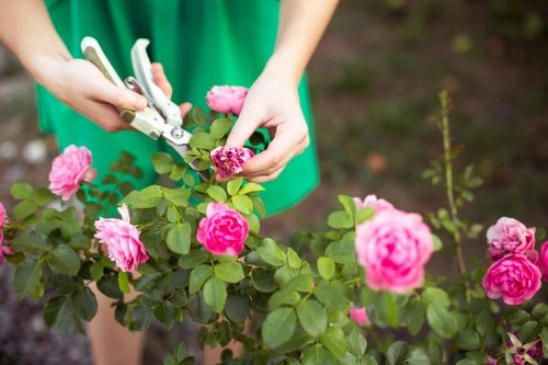 Staff training and safe tool handling in garden maintenance