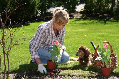 Professional gardening team with insurance and safety focus
