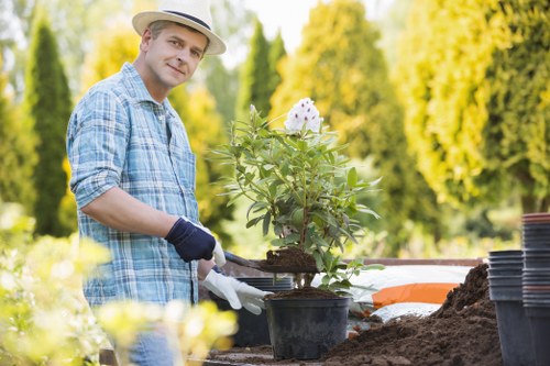 Detailed garden care in an Old Coulsdon outdoor space
