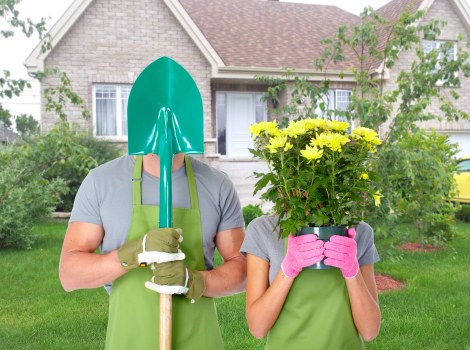 Even lawn cutting beside garden borders in Old Coulsdon
