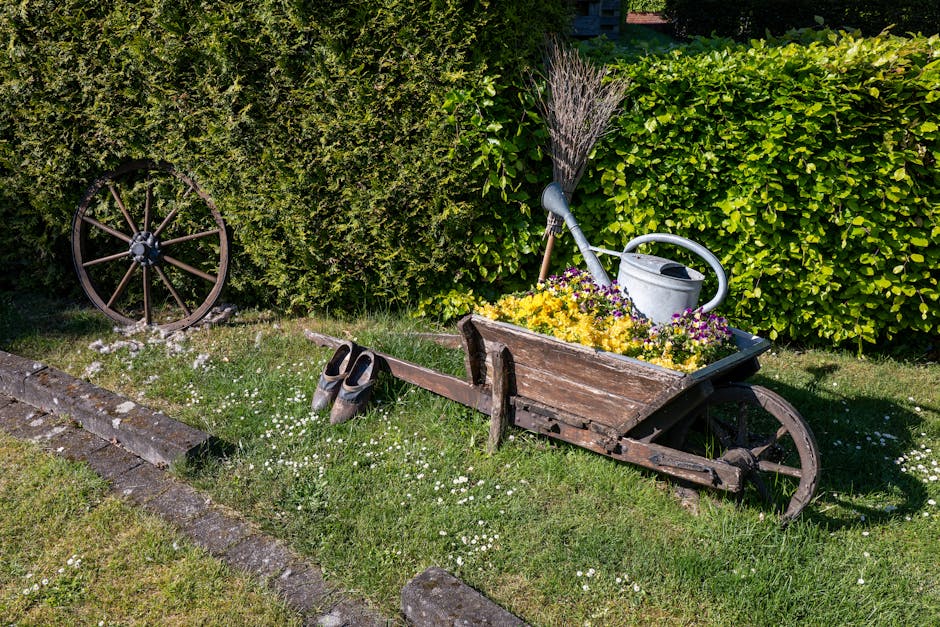 A metal wheelbarrow filled with garden waste, including wilted and cut flowers, leaves, and plant stems, is positioned on a well-kept grassy lawn. The wheelbarrow has a black frame with a single green