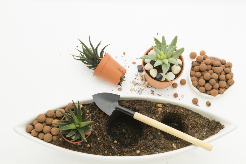 garden outdoor space