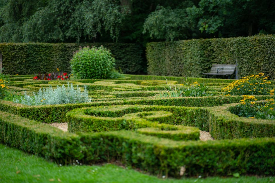 A gardener from Gardeners Old Coulsdon is shown trimming a well-maintained hedge in a lush garden setting. The gardener, wearing a black cap and dark long-sleeved clothing, is using a pair of silver h